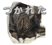 864658564