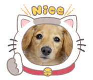 864658942