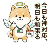 864663133