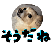 864663679