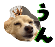 864663682
