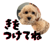 864663683