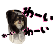 864663696