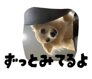 864663704
