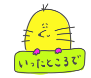 864663840