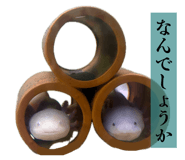864663881