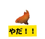 864663957