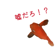864663960