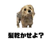 864664022