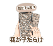 864664063