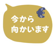 864664581