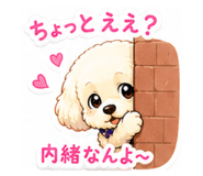 864664841
