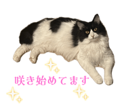 864664883