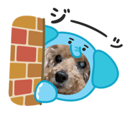 864665093