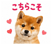 864665107