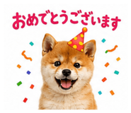 864665118
