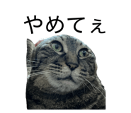 864665479