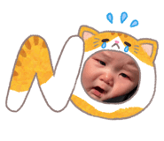 864665496