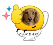 864665565