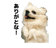864665598