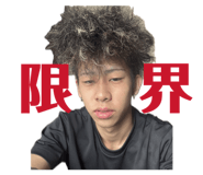 864665646