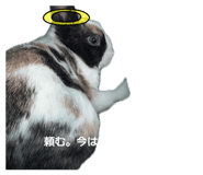 864666085