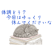 864666704