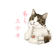 864666706