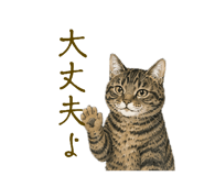 864666710