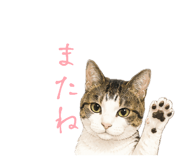 864666712