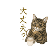 864666720