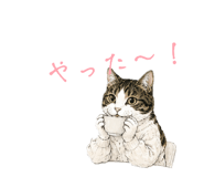 864666723