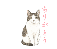 864666724