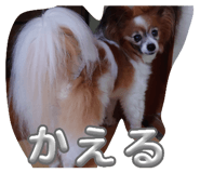 864679645