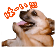 864681604