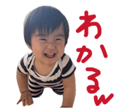 864682443