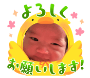 864682499