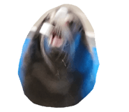 864683087