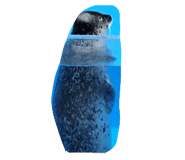 864683088