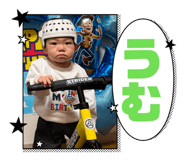 864683556