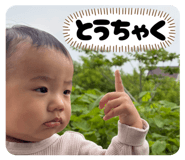 864684372