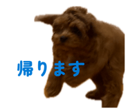 864684456