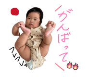 864684486