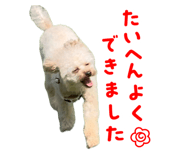 864684624