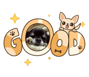 864684628