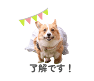 864684700