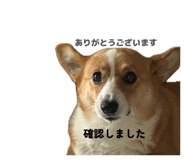 864684703