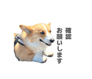 864684710