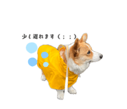 864684712