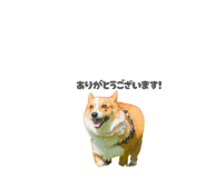864684713